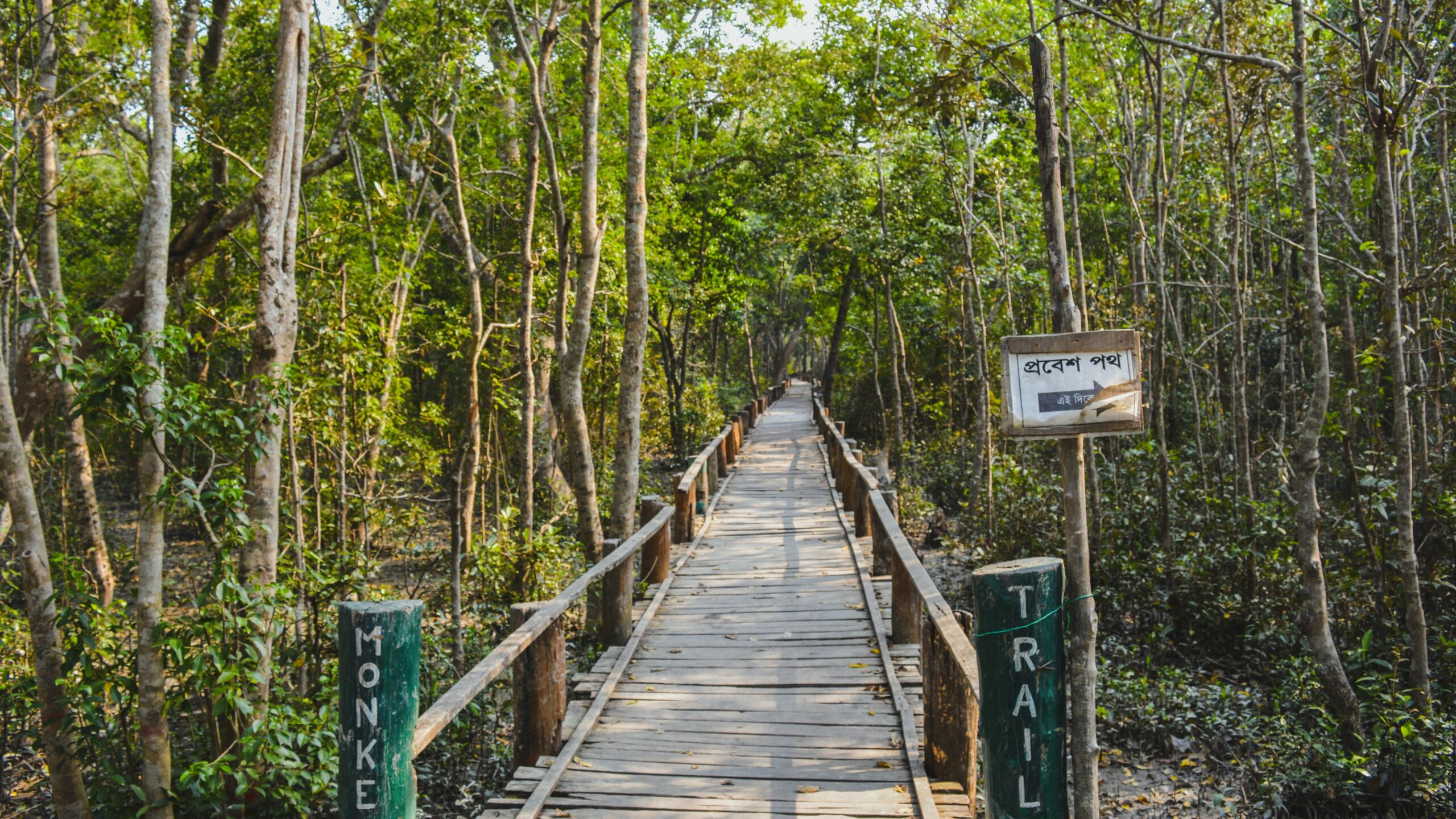 Entry_of_Sundarban_(Khulna_-_Bangladesh)_সুন্দরবন