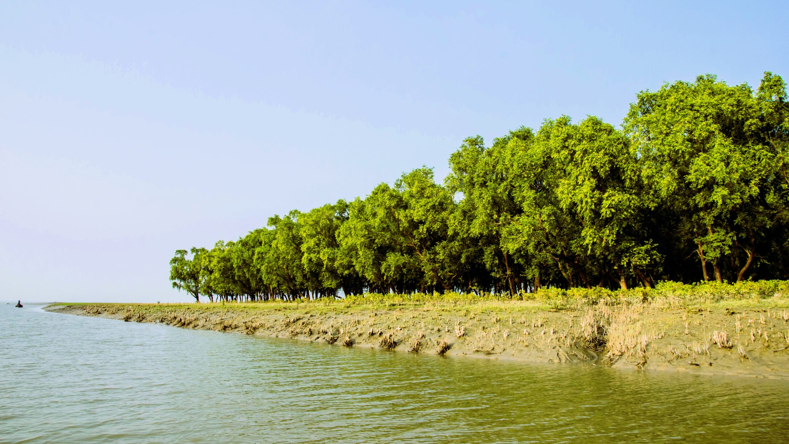 Nijhum_Dwip_(03)